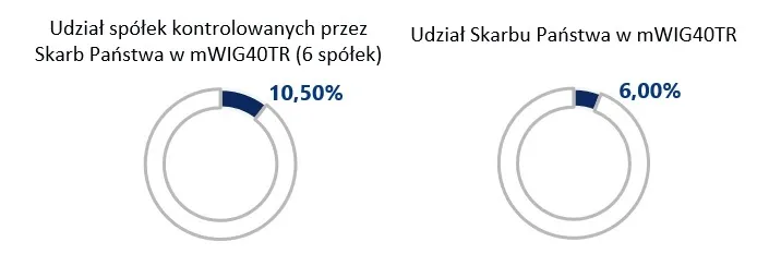 DNA Beta mwig – udział skarbu panstwa mwig