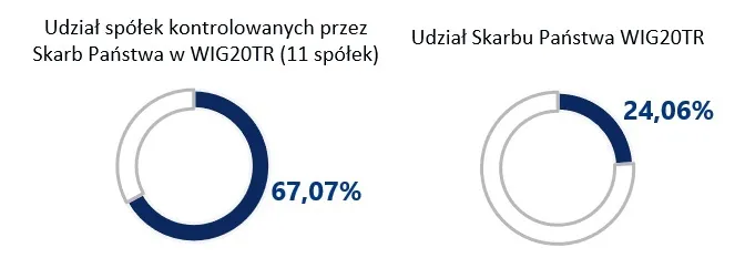DNA Beta mwig – udział skarbu panstwa wig20