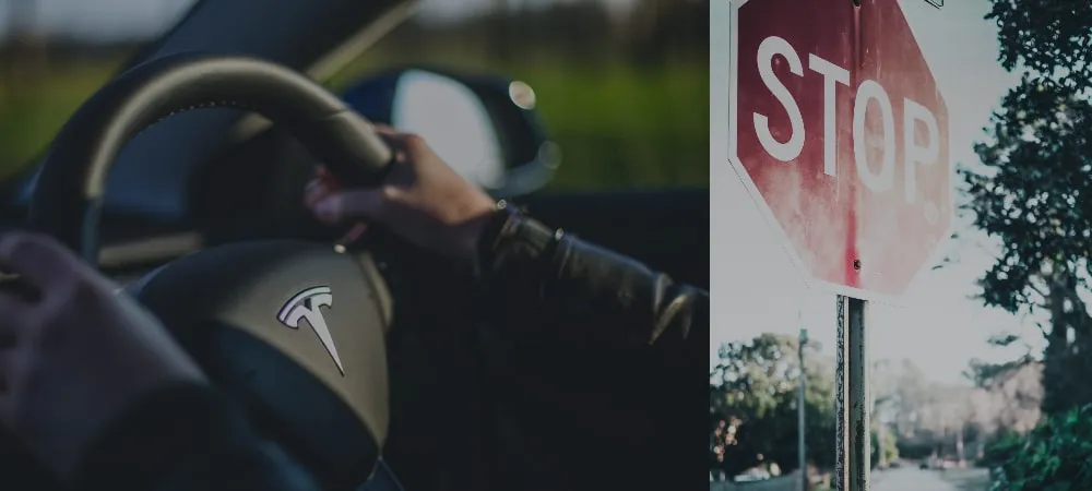 Tesla – mini www