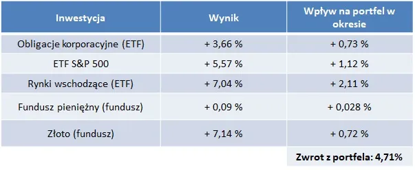 DNA 312 – wyniki portfela