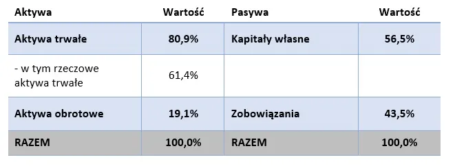 bilans analiza – jsw