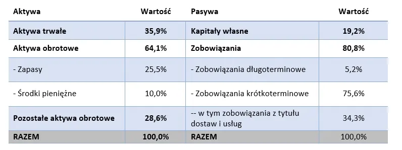 bilans analiza – komputronik