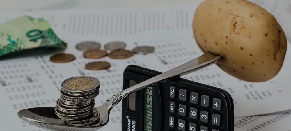 ebitda i dźwig – mini www