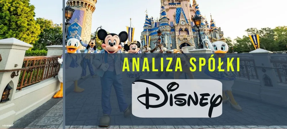 Disney analiza – mini www