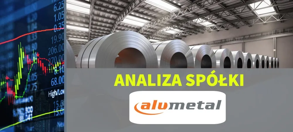 Analiza Alumetal – mini www