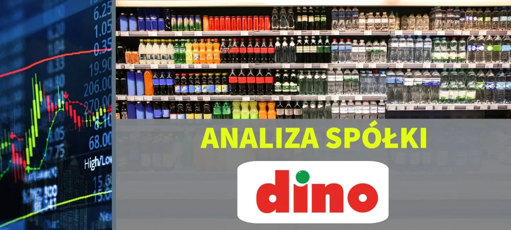 Analiza Dino – mini www