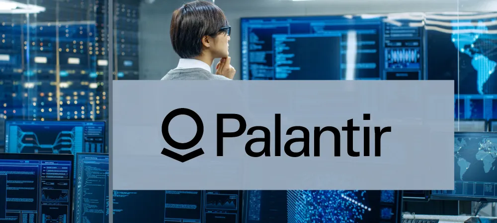 Analiza Palantir – mini www