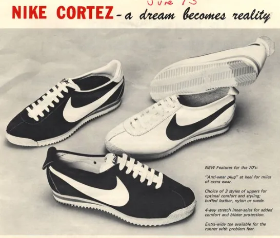 Model-Cortez
