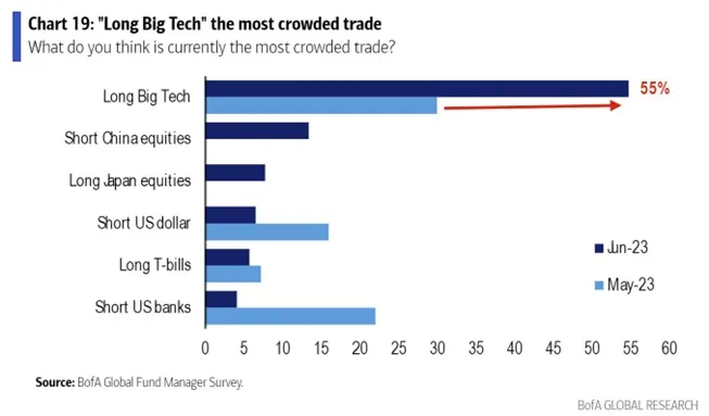 Long Big Tech to najpopularniejsze zagranie
