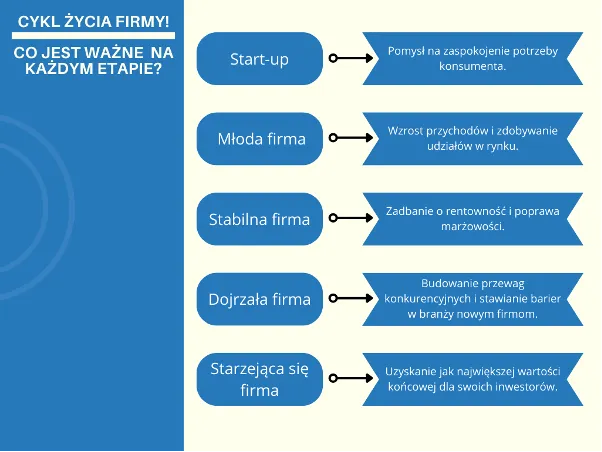 Cykl-zycia-firmy-rozne-przyklady