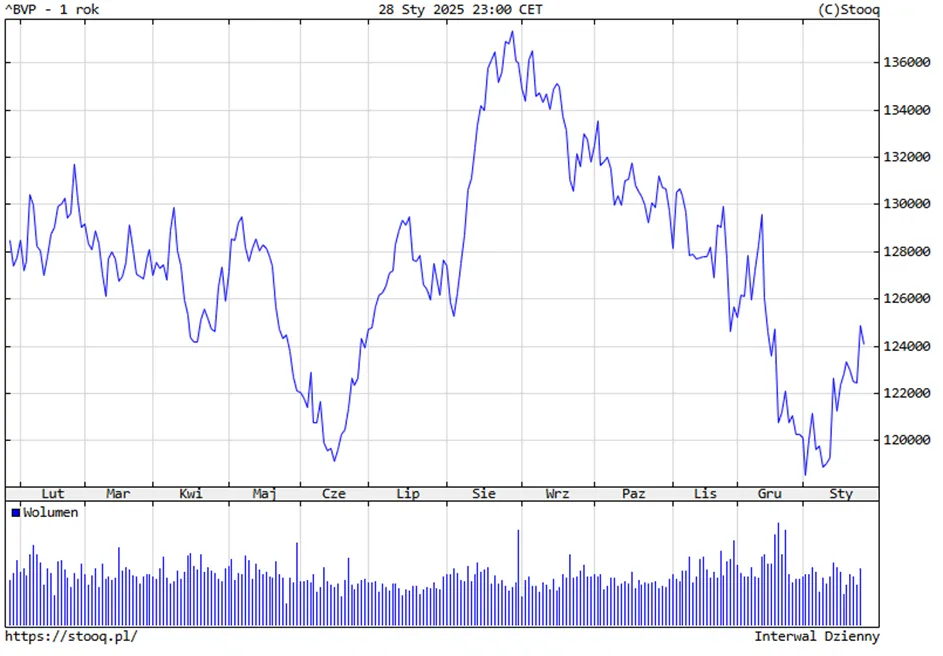 Wykres-Indeksu-BVP-–-Zmiany-w-Ostatnim-Roku-2024-2025