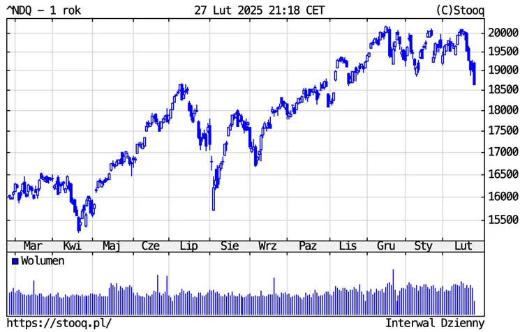 Nasdaq-100-–-Roczny-wykres-notowan-Luty-2024-–-Luty-2025
