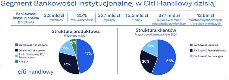 Struktura-segmentu-bankowosci-instytucjonalnej-w-Citi-Handlowy-w-2024-roku