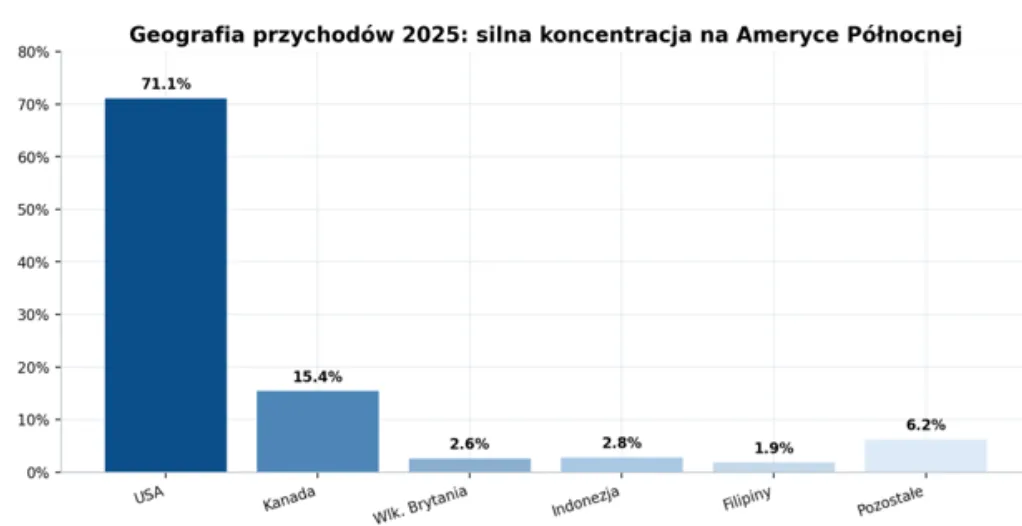 Geografia przychodów 2025 silna koncentracja na Amerycje Północnej