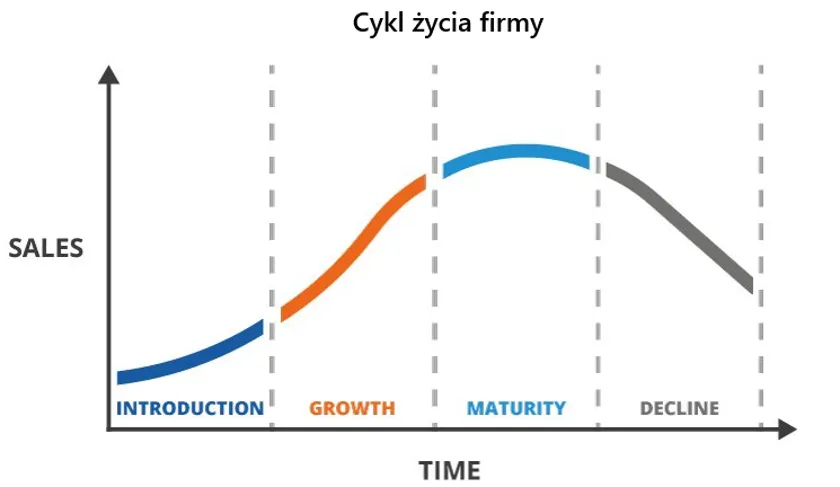 Cykl życia firmy