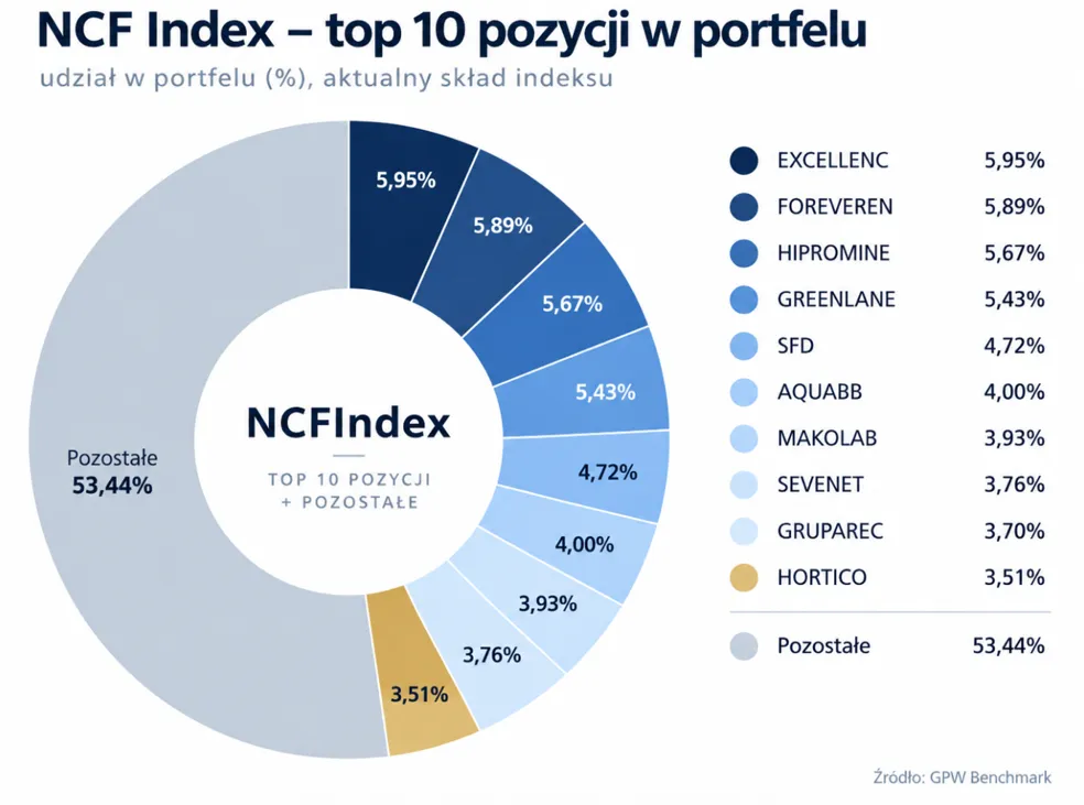 Skład portfela NCFIndex