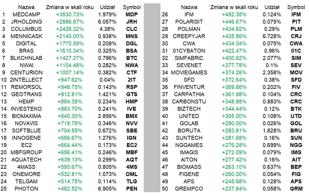50 spółek o najwyższej stopie zwrotu w okresie 18.08.2019 - 17.08.2020 (udział opisuje wagę w indeksie NewConnect)
