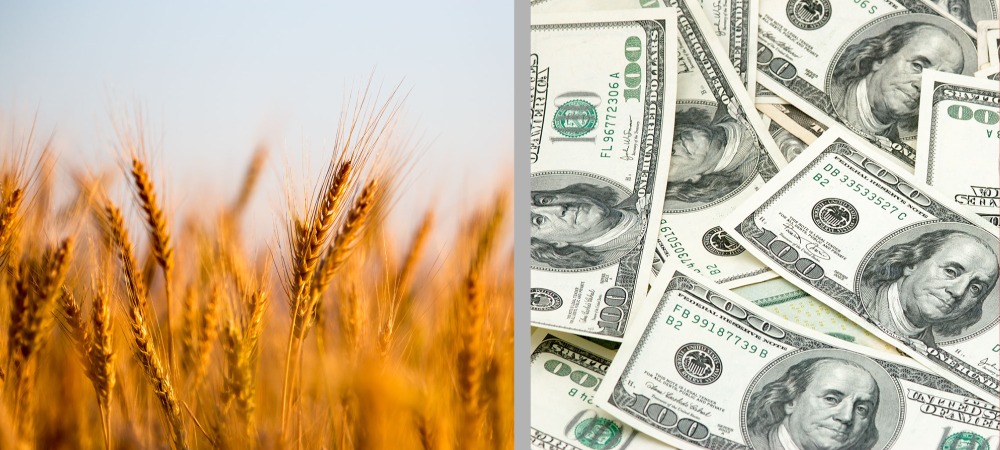 Ceny żywności rosną przez problemy z podażą