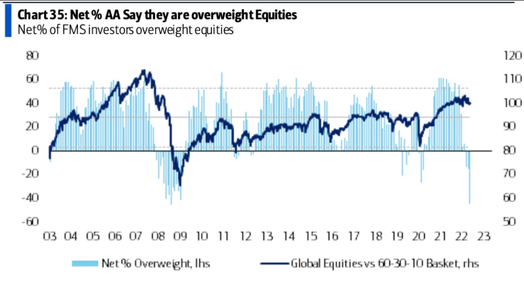 Odsetek profesjonalnych zarządzających, którzy przeważają akcje w portfelu