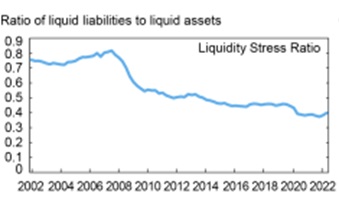Liquidity Stress Ratio dla banków USA