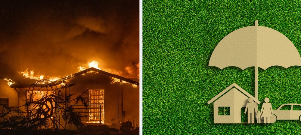 ubezpieczyciele w kalifornii