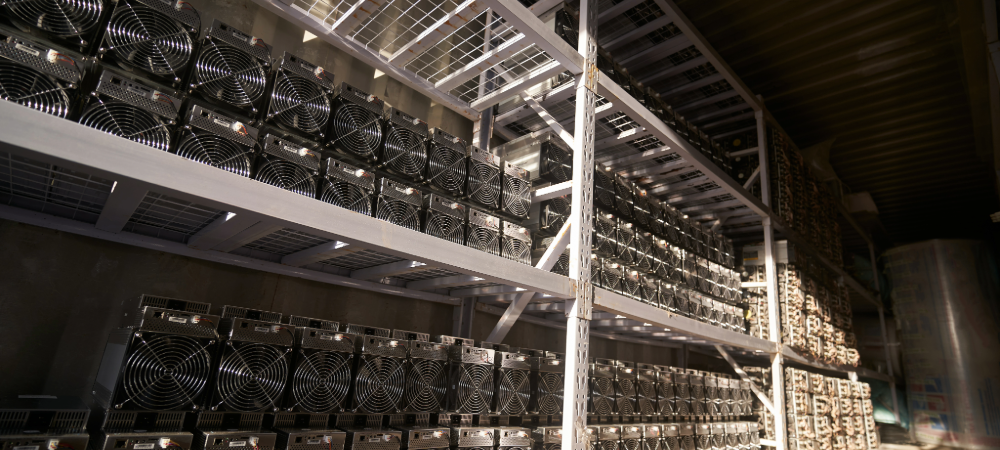 górnicy kryptowalut