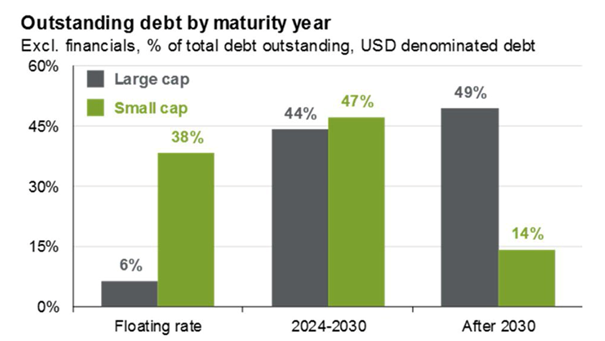 Udział procentowy długu denominowanego w USD w zadłużeniu ogółem, z wyłączeniem sektora finansowego