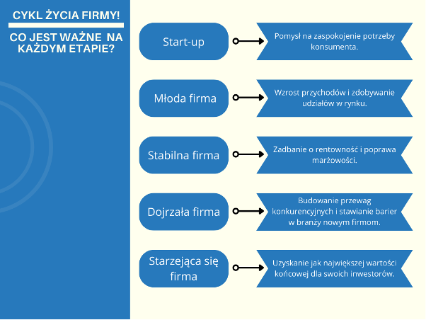 Cykl życia firmy różne przykłady