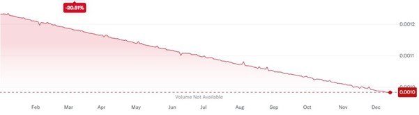Argentyńskie peso – gwałtowne osłabienie o 20,51% w 2024 roku