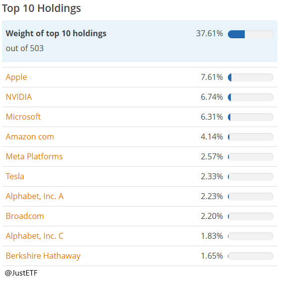 Największe pozycje w portfelu – dominacja gigantów technologicznych