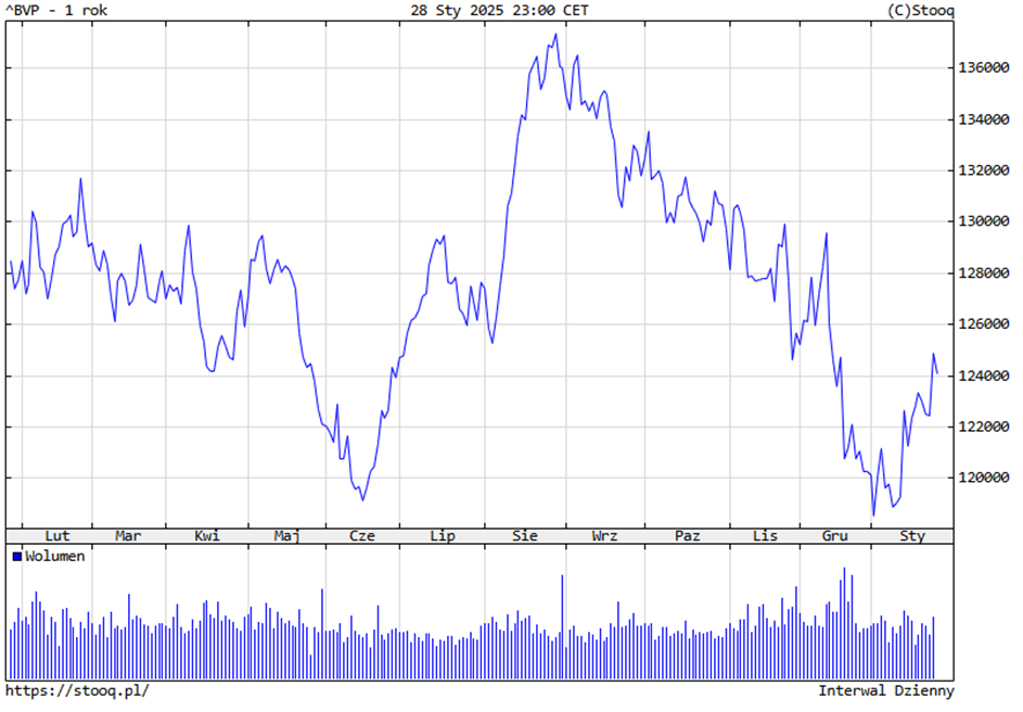 Wykres Indeksu BVP – Zmiany w Ostatnim Roku (2024-2025)