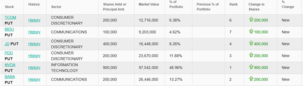 Michael Burry stawia na spadki – nowe pozycje put na Nvidię i chińskie spółki technologiczne