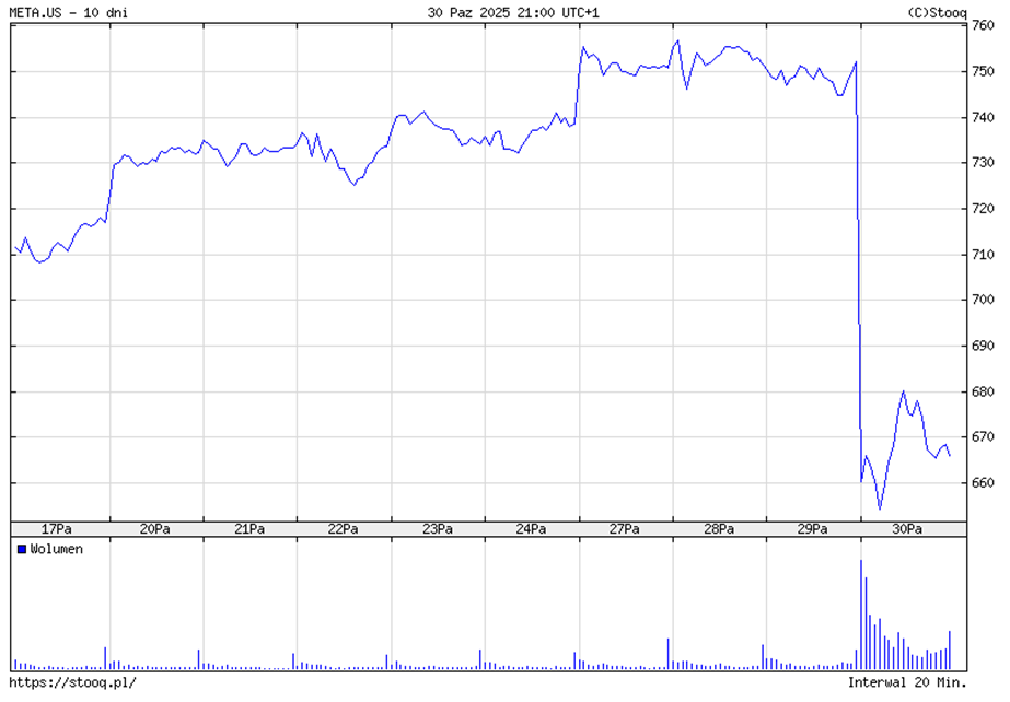 Meta kurs akcji 10 dni