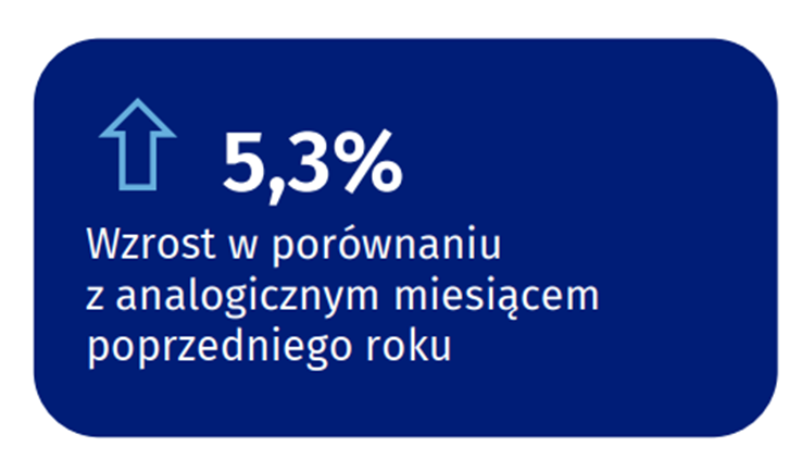 Sprzedaż detaliczna w Polsce: wzrost o 5,3% r/r